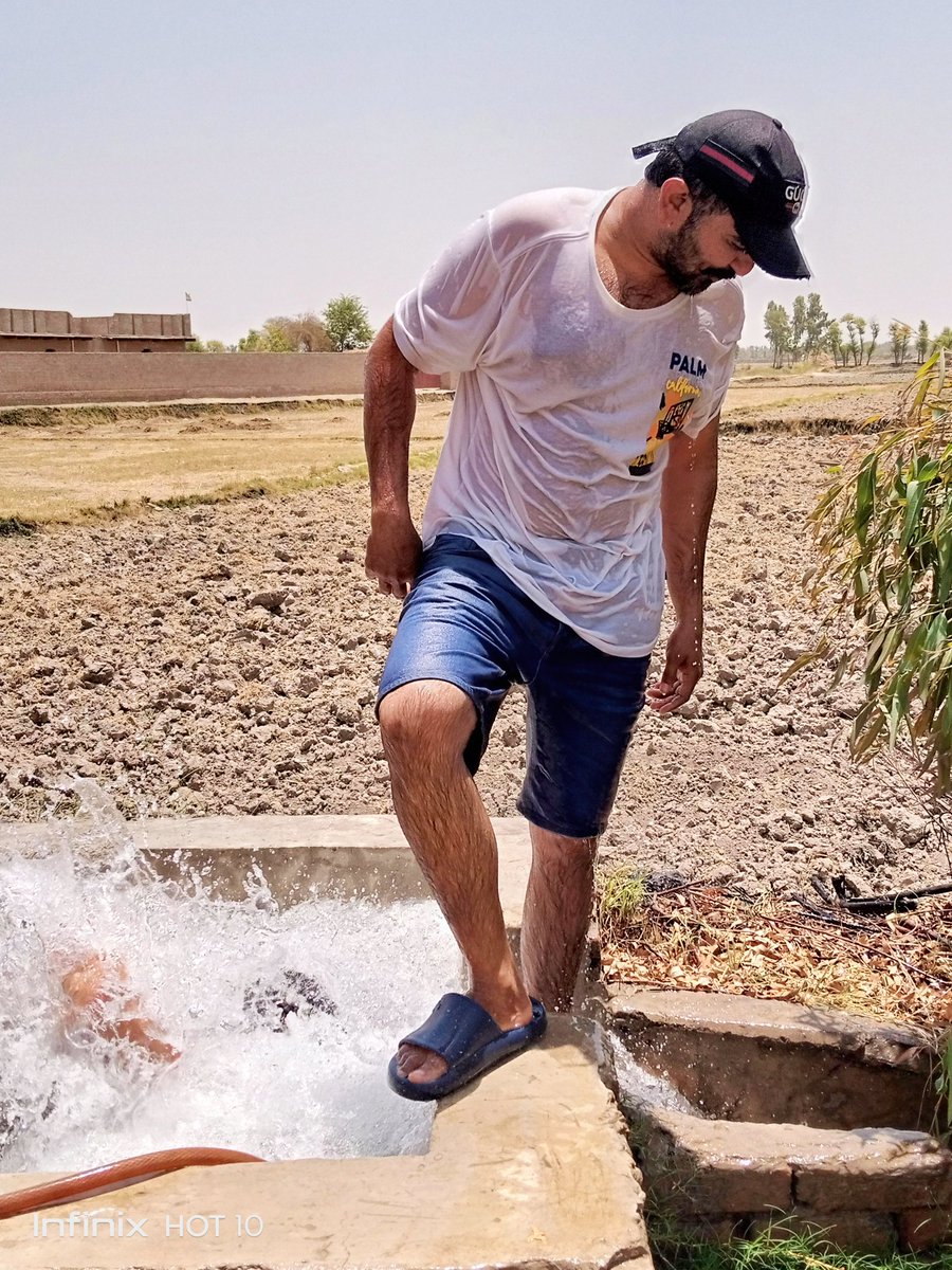 SialRabail2's tweet image. گرمي ڀڄائيندي 🥰🌳

#heatwave
#SummerModeOn
#SialAgriculturalFarm
#Sindh