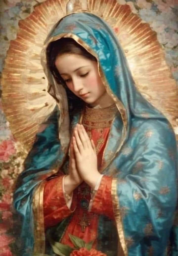 ErnestoMaria10's tweet image. Não sou eu a sua mãe ?! Não estou eu aqui para lhe ajudar ?!