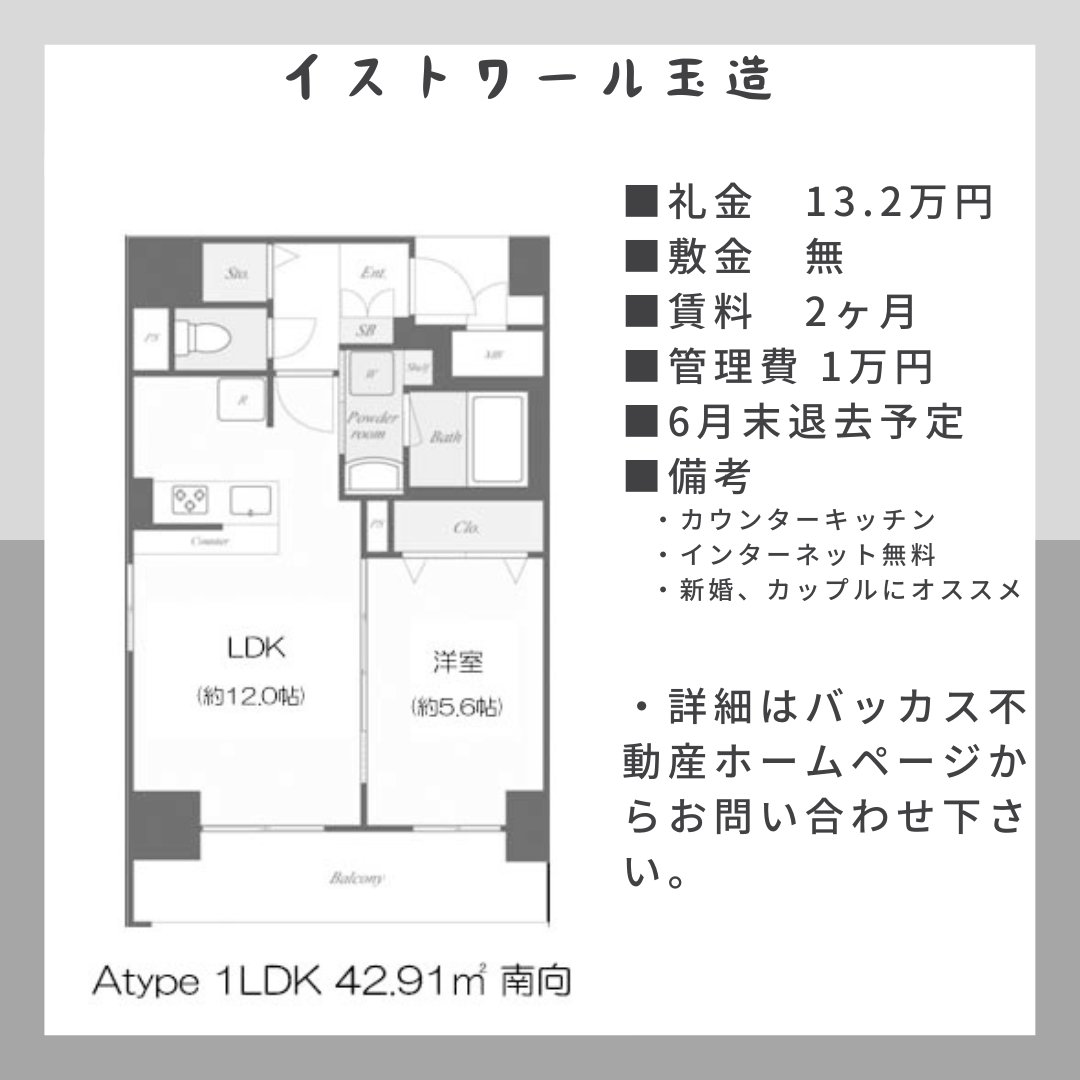 zono_bacchus's tweet photo. 2024-06-02【玉造 イストワール玉造】13.2万円（別途管理費1万円）。住環境良好な上町台地エリア。40㎡オーバーの広めの1LDKで新婚・カップルにオススメ。南向きの角部屋でカウンターキッチン付。　#イストワール玉造 #玉造 #バッカス不動産　https://t.co/k3xqtK8qnY https://t.co/5PhFyx9Vrh