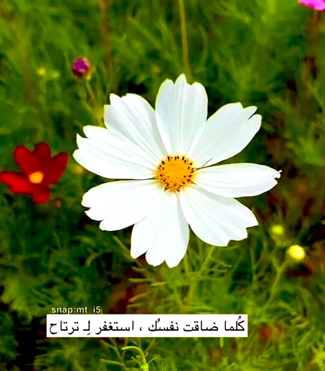 #استغفر_الله_العظيم_وآتوب_إليه 
#استغفر_الله_العظيم_واتوب_إليه 
#استغفر_الله_العظيم_وآتوب_إليه