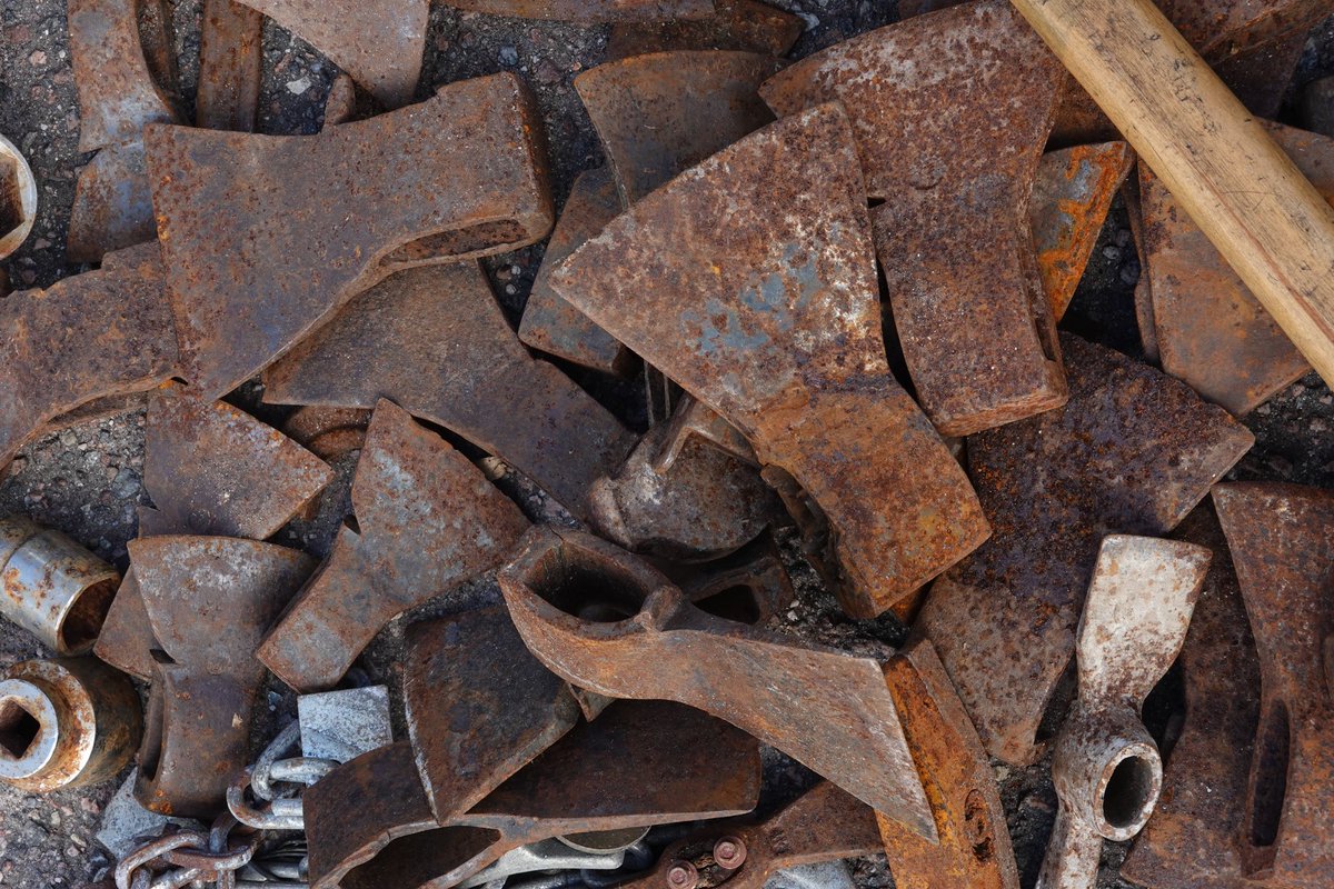 Biķernieku krāmu tirgū nejauši ieklīdu apvienības "Jaunlatvieši" kongresā