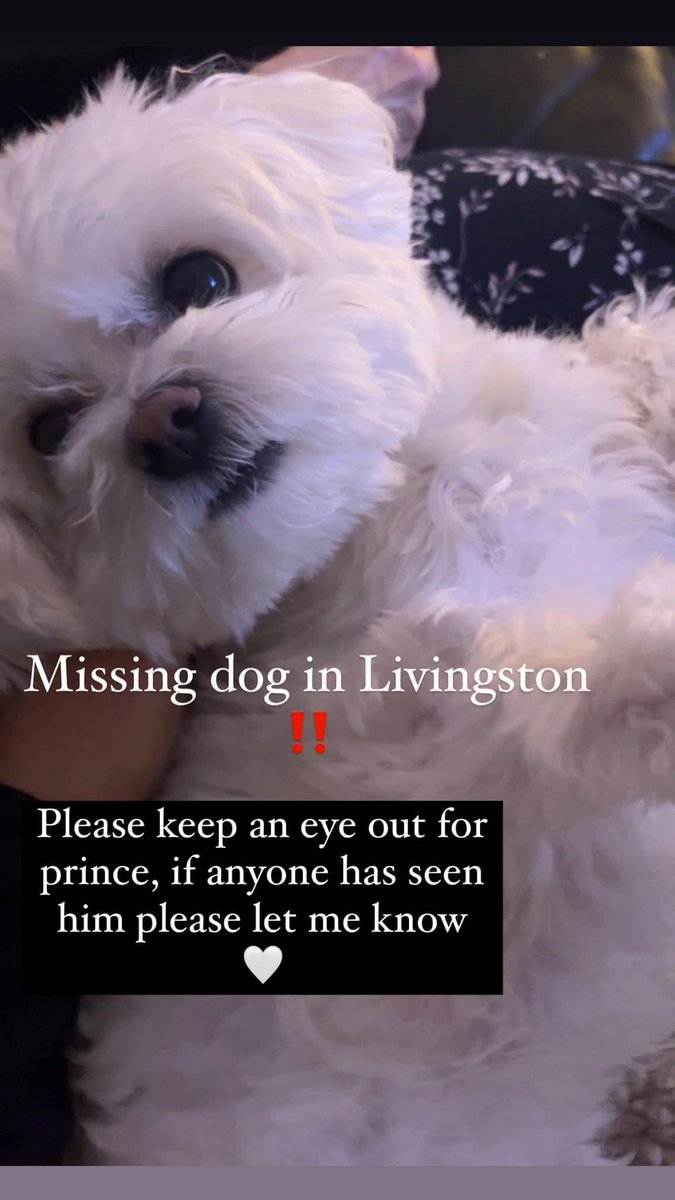 Please share - missing - Livingston, Scotland facebook.com/share/p/3vydUe…