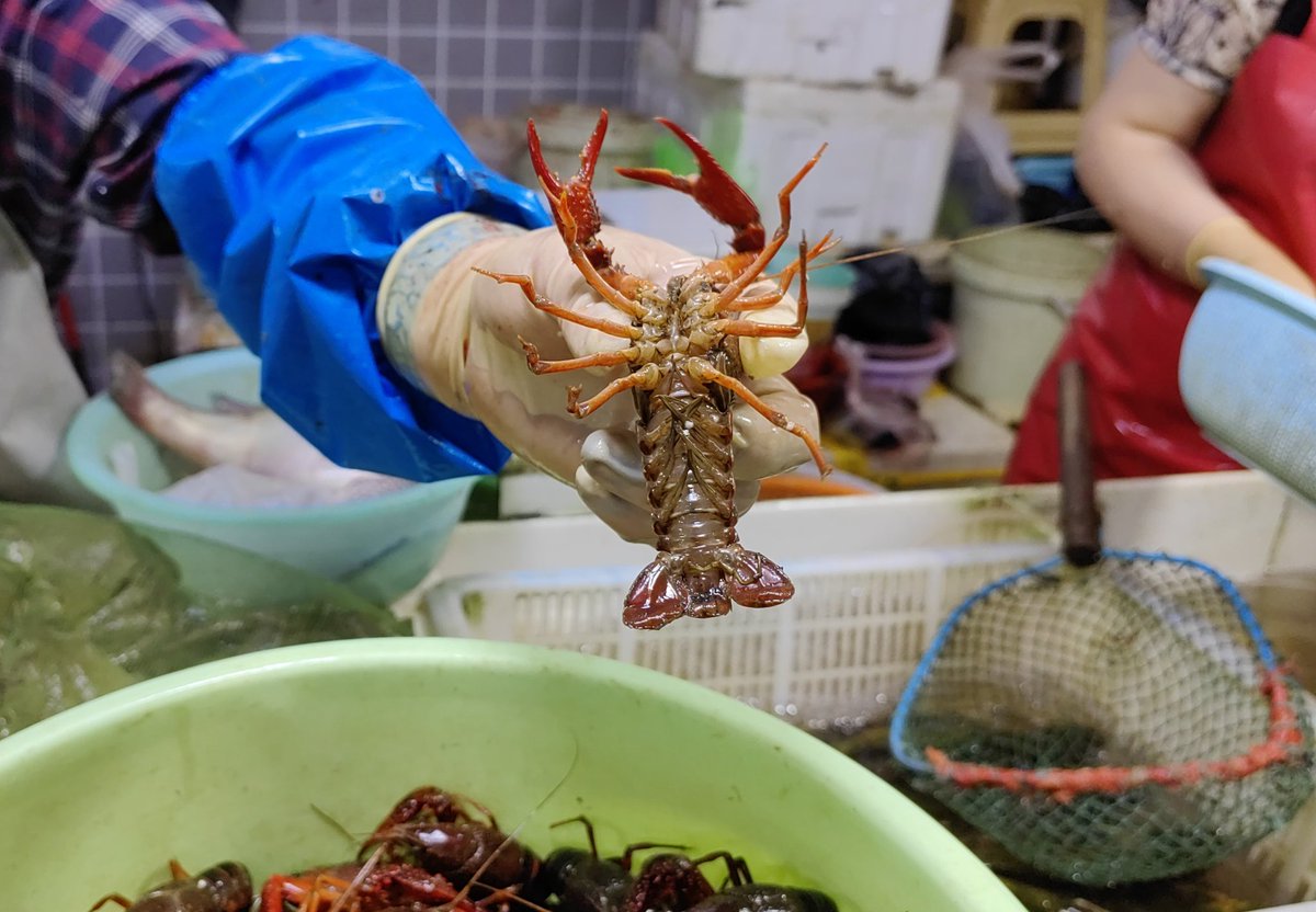 Modern Express 现代快报 tweet media