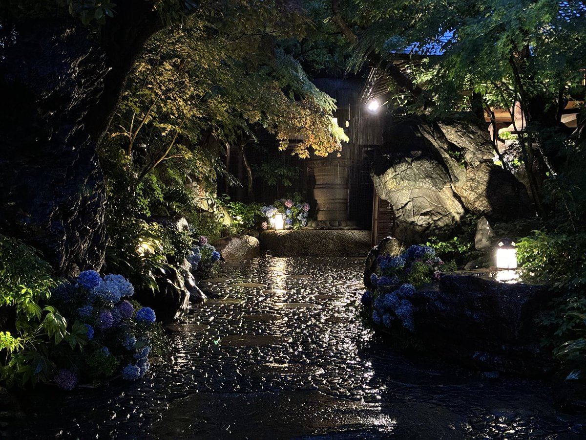 mindscape0107's tweet photo. Japanese garden in June https://t.co/DahxRXcemM