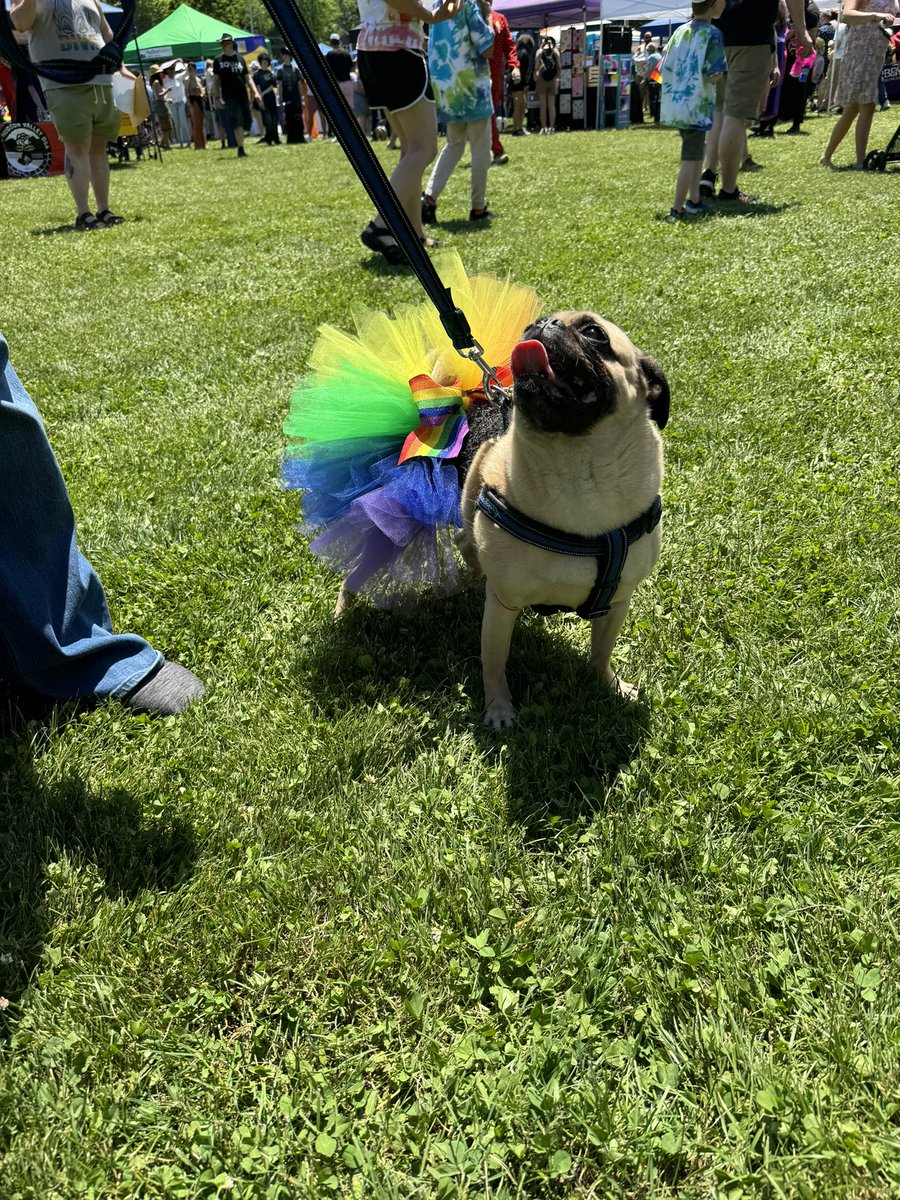 MTMcMorrow's tweet photo. Happy Pride from the Hudson Valley!  Proud to represent @GovKathyHochul at the 20th Annual New Paltz Pride. 🏳️‍🌈🏳️‍⚧️ https://t.co/rD3oqtYJW8