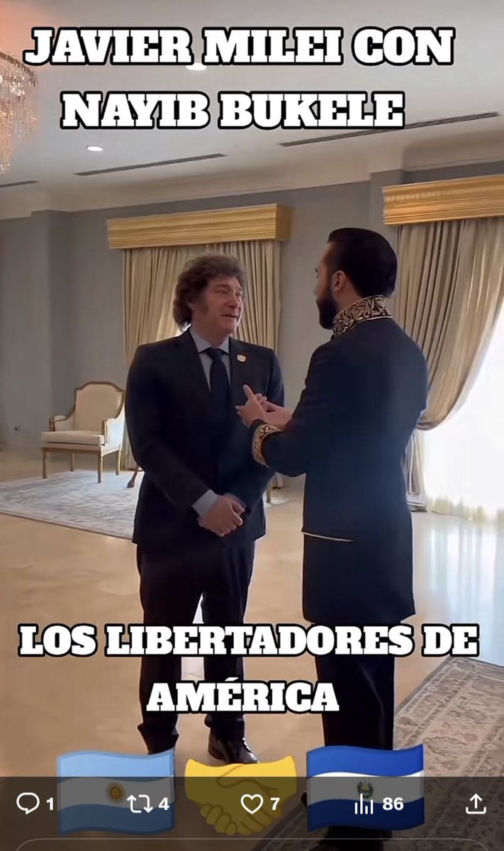 Ejemplo de Presidente