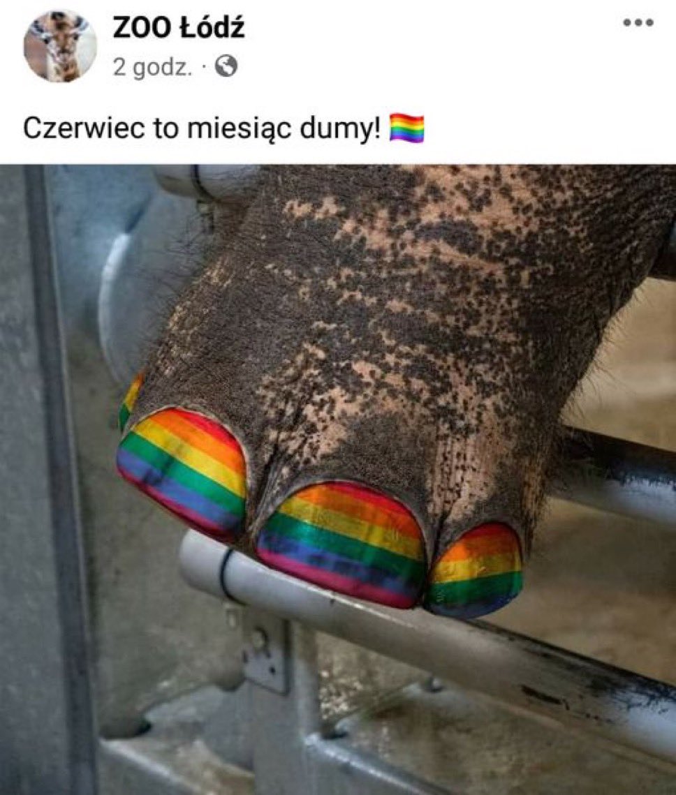 szymon_kasprzyk's tweet photo. Dlaczego cała Polska promuje zaburzenia psychiczne? https://t.co/NjEeQ0Wwre