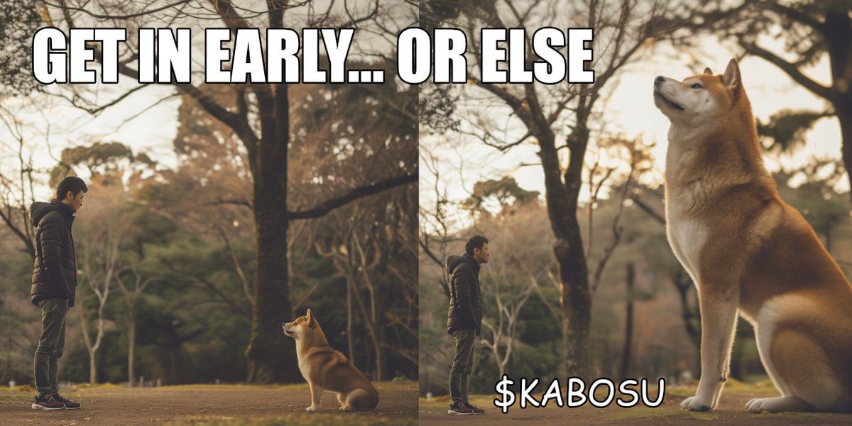 EdwinCastr23384's tweet photo. @osf_rekt Get ready for the meme explosion! $KABOSU's SOL is coming to Solana! @kabosu_CTO #MemeExplosion #SolanaMeme https://t.co/Ez2jvybqlL