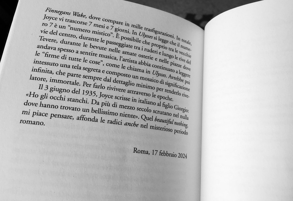 (James Joyce al figlio Giorgio, 3 giugno 1935.)

«Ho gli occhi stanchi. Da più di mezzo secolo scrutano nel nulla dove hanno trovato un bellissimo niente.»
… quel “A Beautiful Nothing” bravo, bravo <a href="/EnricoTerrinoni/">Bear with me</a> mi hai emozionato! Grazie 💙