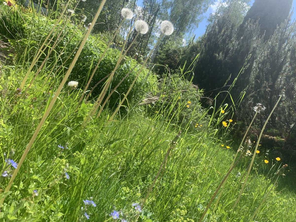 mi_alma_solea's tweet image. #SummerModeOn 💕🩵🍃🌸
…
What do I do, it seems so far away
You know my heart, it doesn&apos;t wanna stay
Tus besos en mi alma quiero aquí, aquí
Remember when we both said
We would never let this lie
…
Amor mío, tengo frío
Escalofríos, te necesito
You got me questioning my mind
Aaah