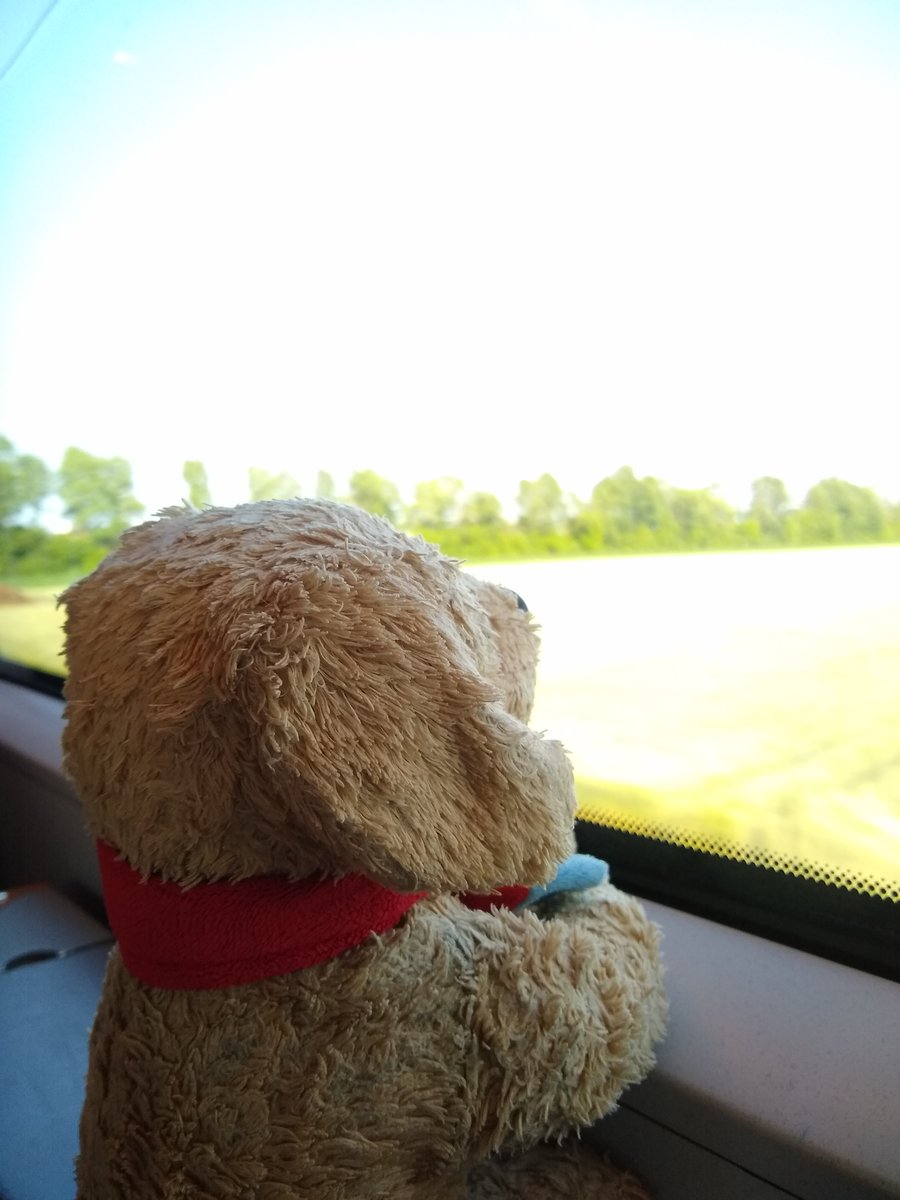 Wisst Ihr noch, damals, als ich zu meinem Bruder verreist bin? Das war so aufregend!

Und letztes Jahr durfte ich noch mal verreisen. Mit meinem Mensch. In ein anderes Land! Für seine Arbeit! Das war aber so viel, das erzähl ich euch vielleicht über mehrere Tage....