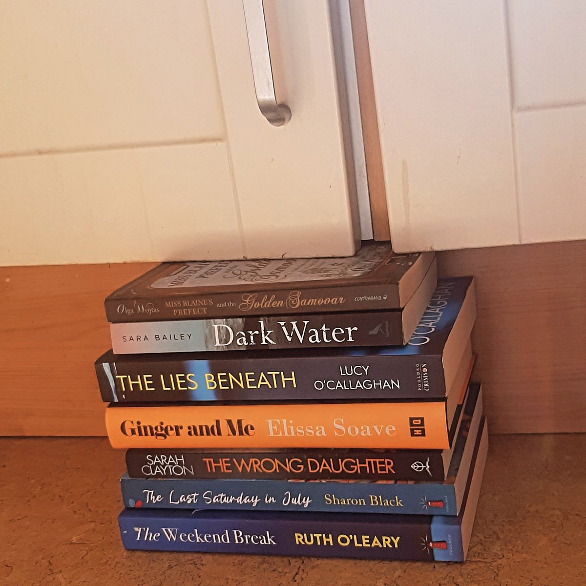 AnneHamilton7's tweet photo. My kitchen cupboard door fell off. The boy, the dog and I fixed it - with 7 fabulous friends and debut writers...These books are also highly recommended for reading 😁😁 @elissa_soave @OlgaWojtas @SBlackwriter
@LucyCOCallaghan @rutholearywrite @SarahCWriting @baileysara https://t.co/RbO8teYbOy