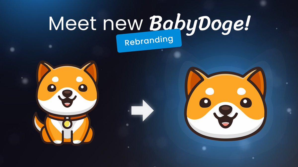 Baby Doge tweet media
