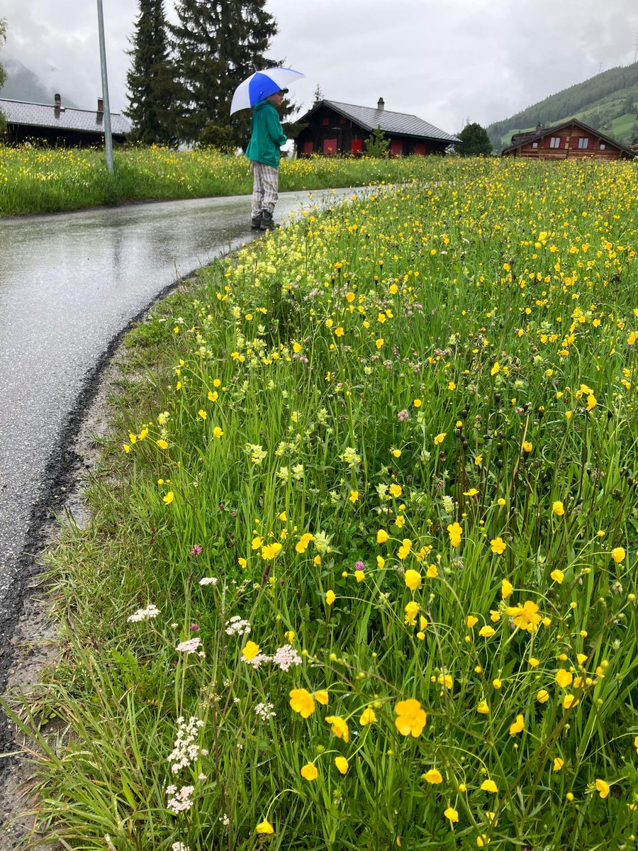 Tim Birch tweet media