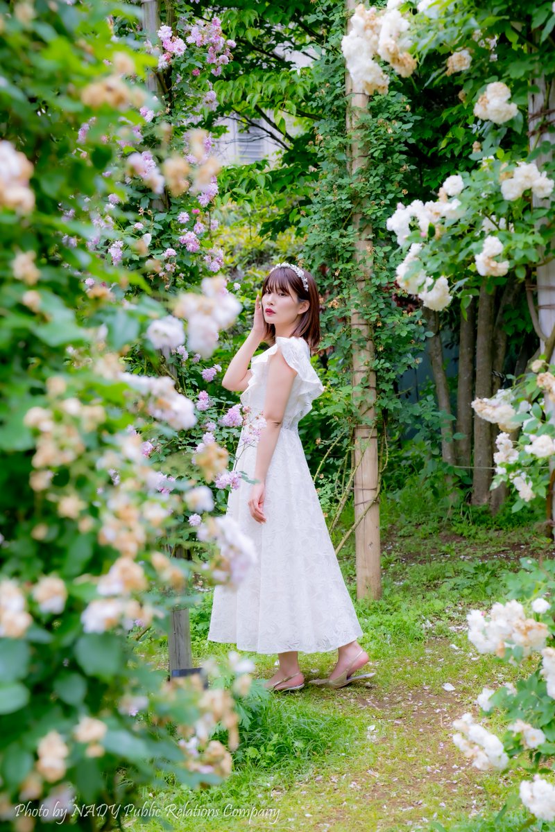 NADY_PRC's tweet photo. 薔薇の園
Model
橘エマさん
@tachi_emma64
@emma10official
#橘エマ
#橘エマ展proof_240604~240609
#emma展に行こう
#Emma_Portrait
#Memorable_Lady
#共創ポートレート
#キミの今を残そう
#一写絶命
#NikonZ9 https://t.co/UGi4hGsW0I
