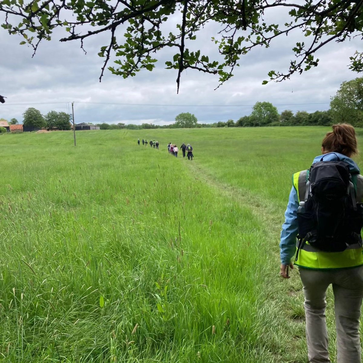 TotallyLocal_LB's tweet image. SundayWisdom 🧡 Challenge completed 👣💚 Stage 3 of @greensandcountry's Greensand Ridge long distance 42 mile walk. Go do it everyone if you can! It's fabulous 💚 "You who walk to think, May seek your path on the Greensand Ridge" (Ed Burnett) 💚