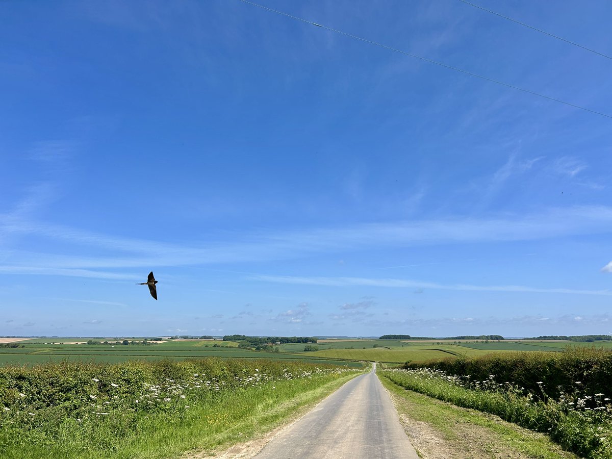 WeatherWolds's tweet photo. A Sunday Bike Ride. 20°C and warm sunshine. A Swallow photobombing. https://t.co/IaOAhSJh87