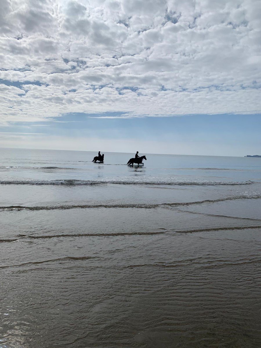 El Barra and Kalaroun enjoyed a day out at Donabate beach this morning ☀️🏝️ Thank you to Hugo and Anne for the lovely photographs ! 😎