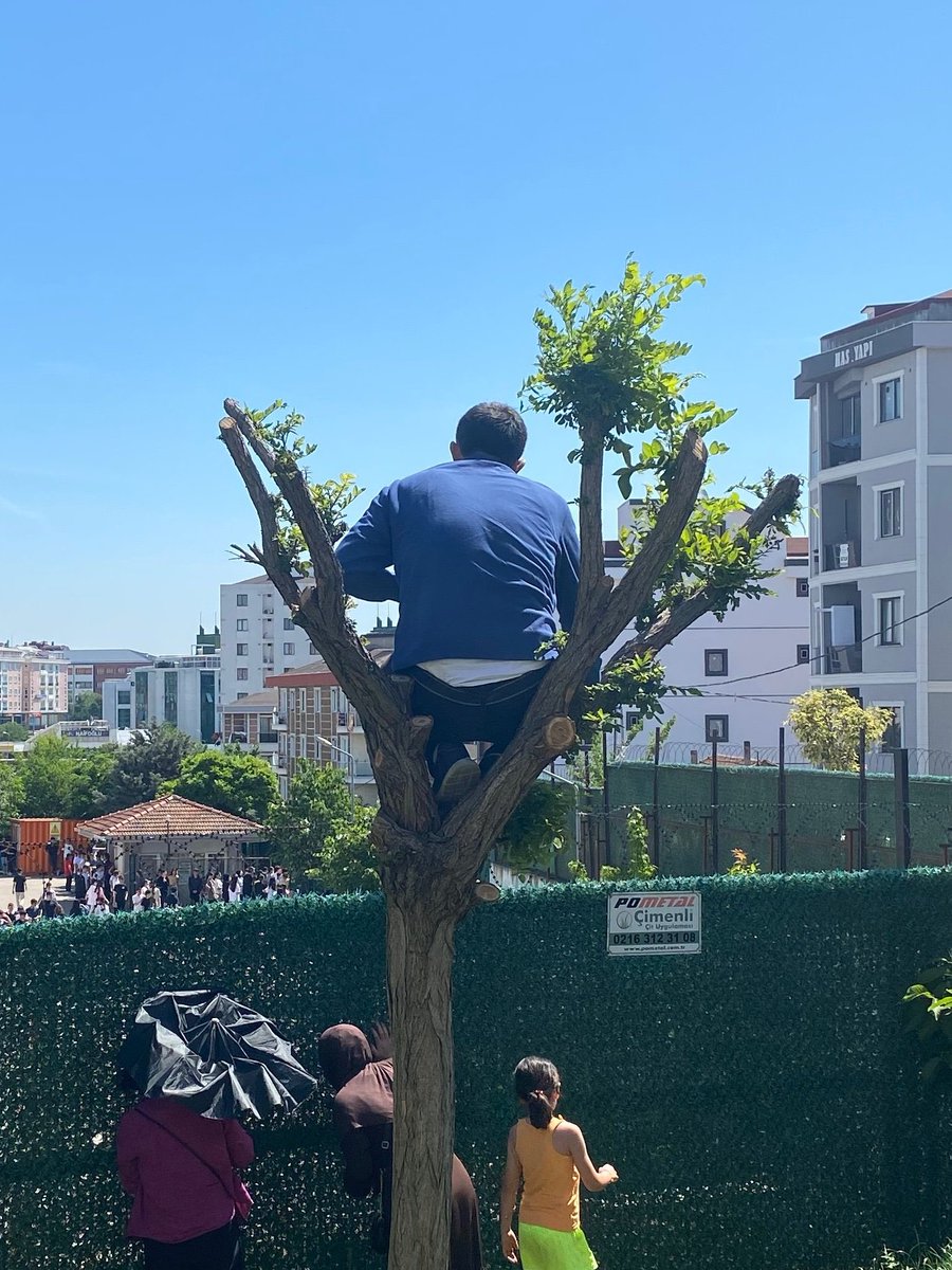 incisozluk's tweet photo. LGS sınavına giren çocuğunu ağacın tepesinde bekleyen veli https://t.co/rdt69W2sEK
