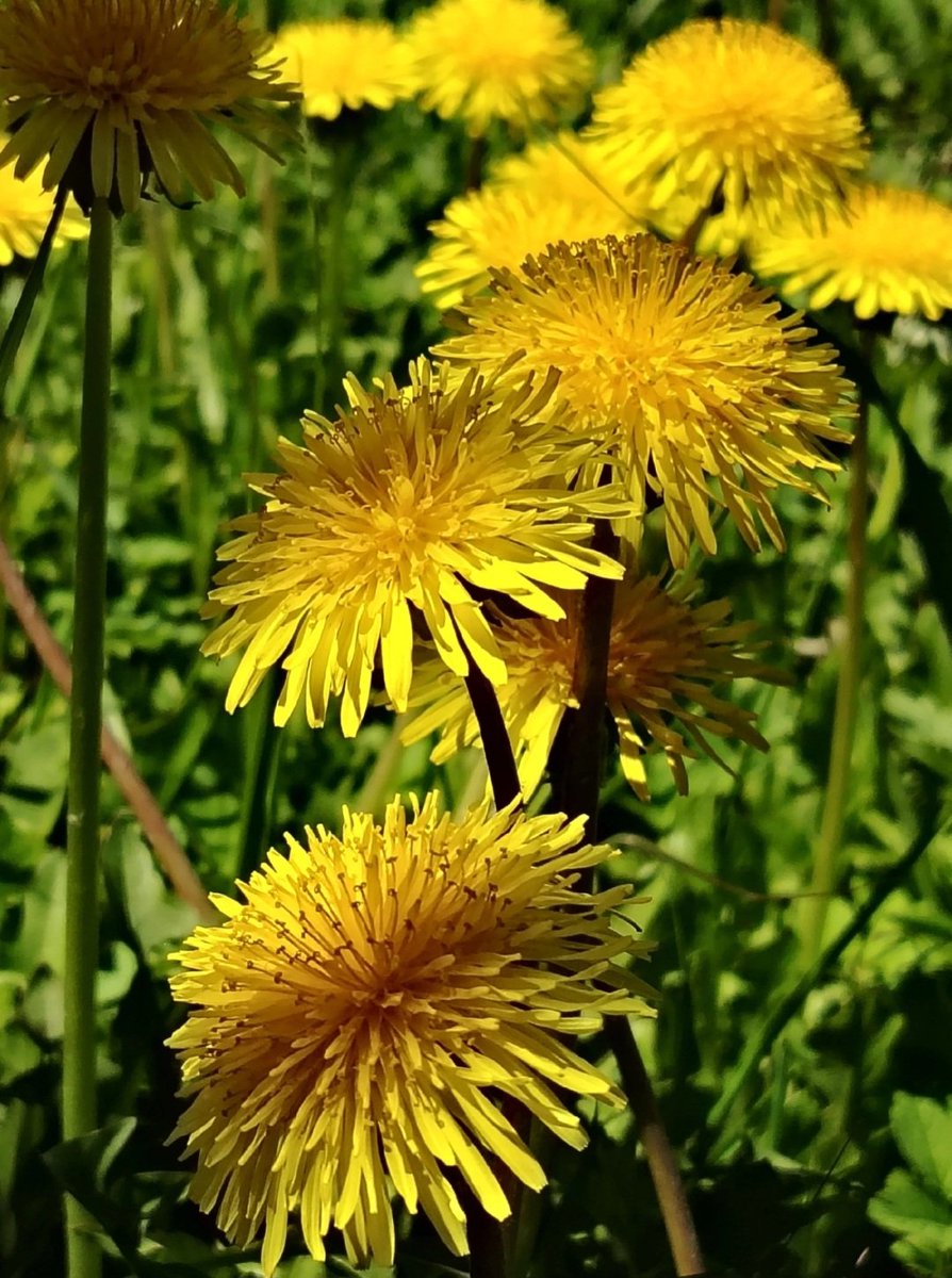 Jenny Holtorf (@jen67907) on Twitter photo 