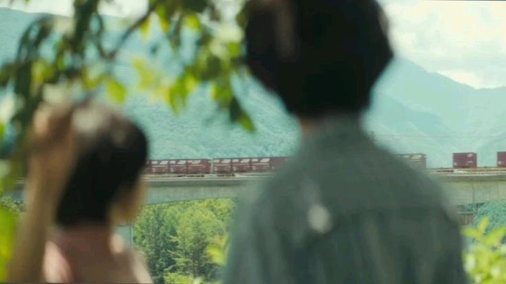 943etc's tweet photo. 초록 가득! · 🍃 ₊ 𓂃 ⊹

일본 여름 영화 추천 타래 ··· https://t.co/eUgWW0St70