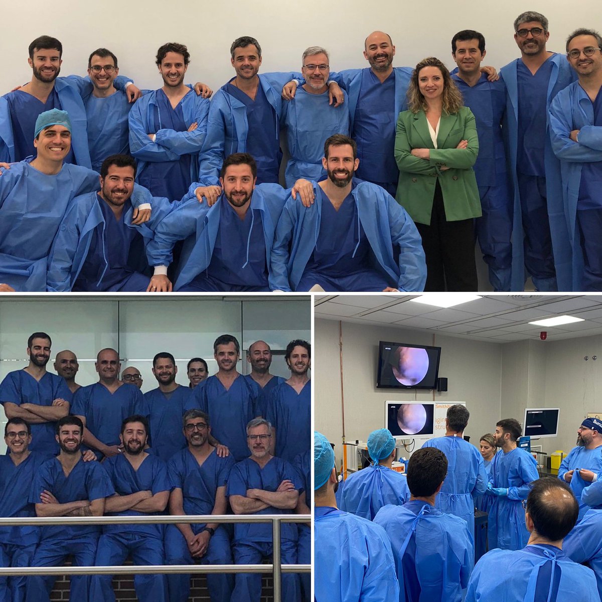 Faculty in the AEA-SEROD Knee Advanced Course (Madrid). A pleasure to be one of the professors