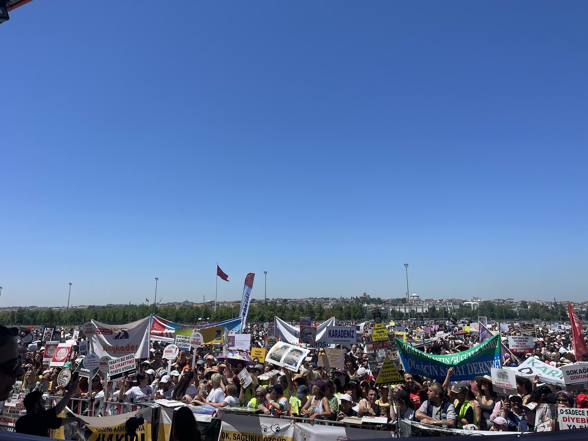 ankarapatiliky's tweet photo. Trol hesaplarla değil vicdanlı yüreğimizle yenikapıdayız. #SOKAKHAYVANLARISAHİPSİZDEĞİL https://t.co/N2dgnqUV57