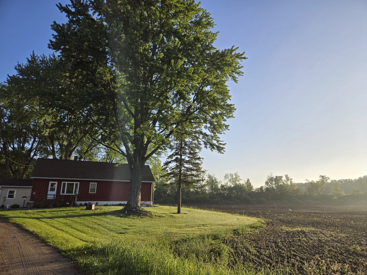 What a glorious morning!! #blackcreek