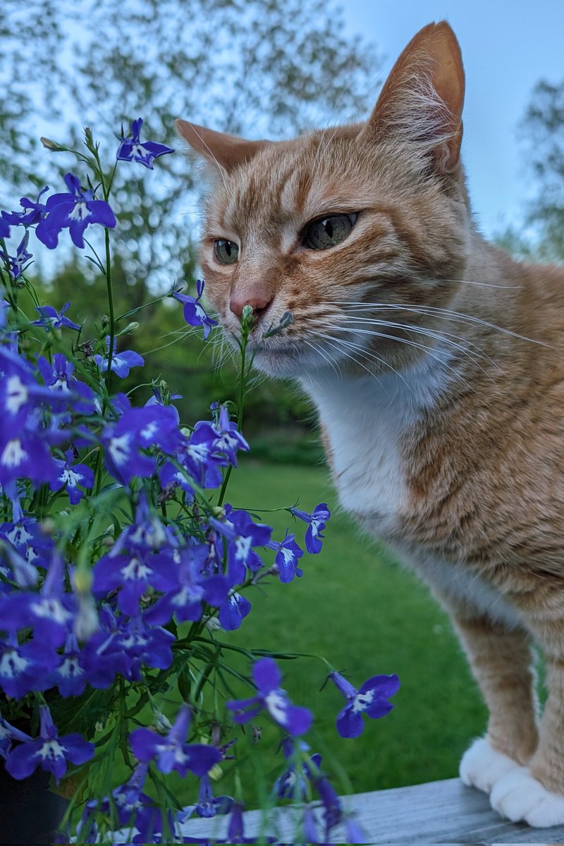 Sarah Rums tweet media