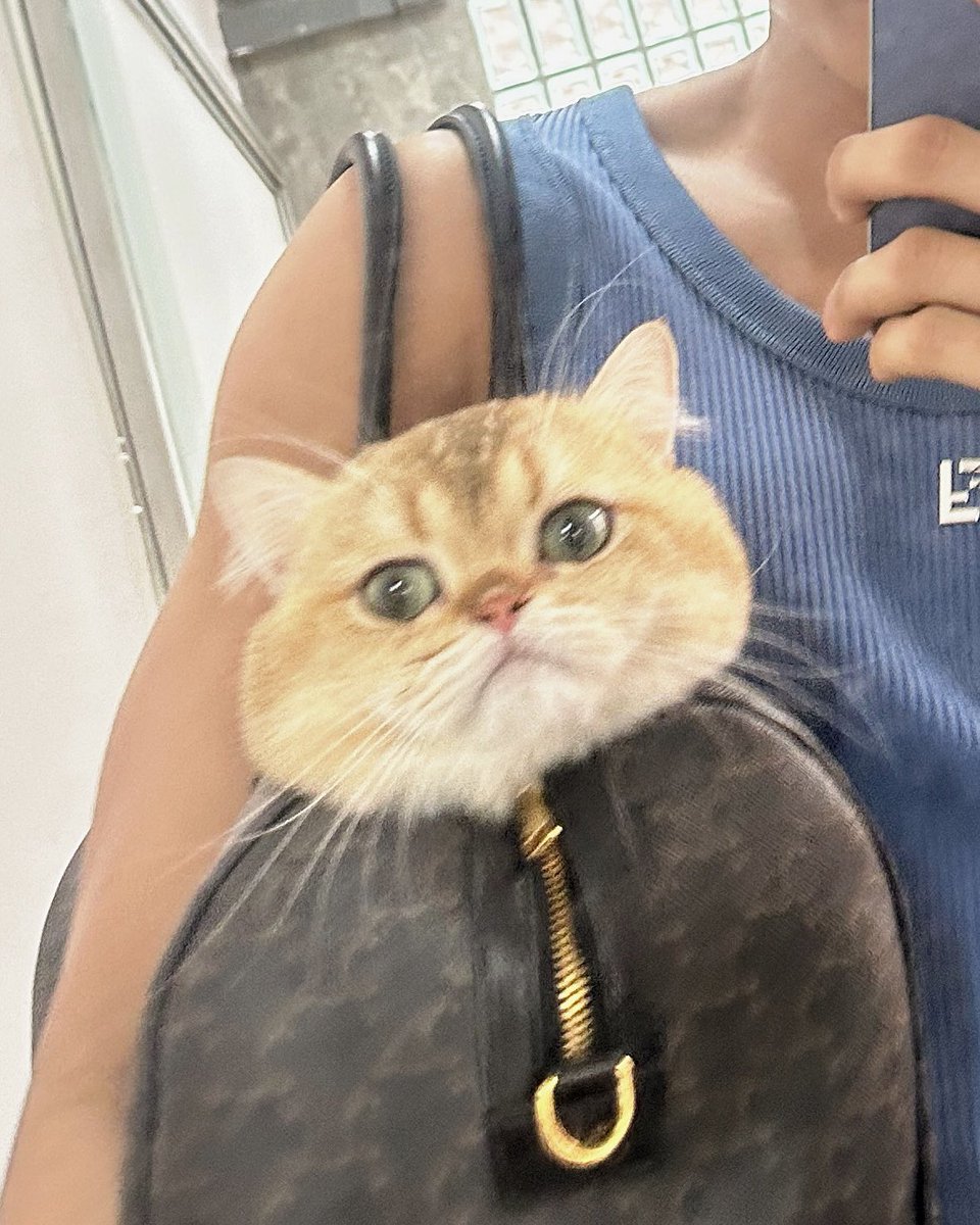 netsiraphop's tweet photo. Selfie with my 🐱🤏 #netsiraphop https://t.co/nXCnLTaCwu