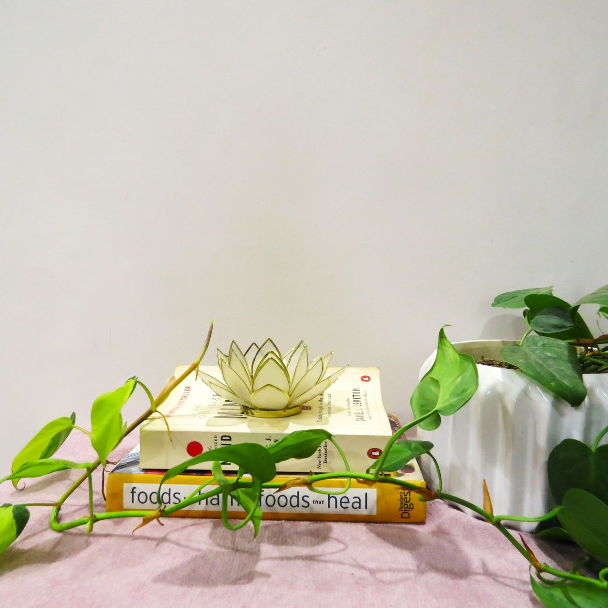 mananda_india's tweet photo. Transform your living space into a serene haven with Mananda's exquisite ceramic pots and planters. Each piece from Mananda is meticulously crafted, ensuring unparalleled quality and a timeless design that suits any interior.
#mananda_passeddowntheages #homedecor #indoorgardening https://t.co/4QzDQp6psO