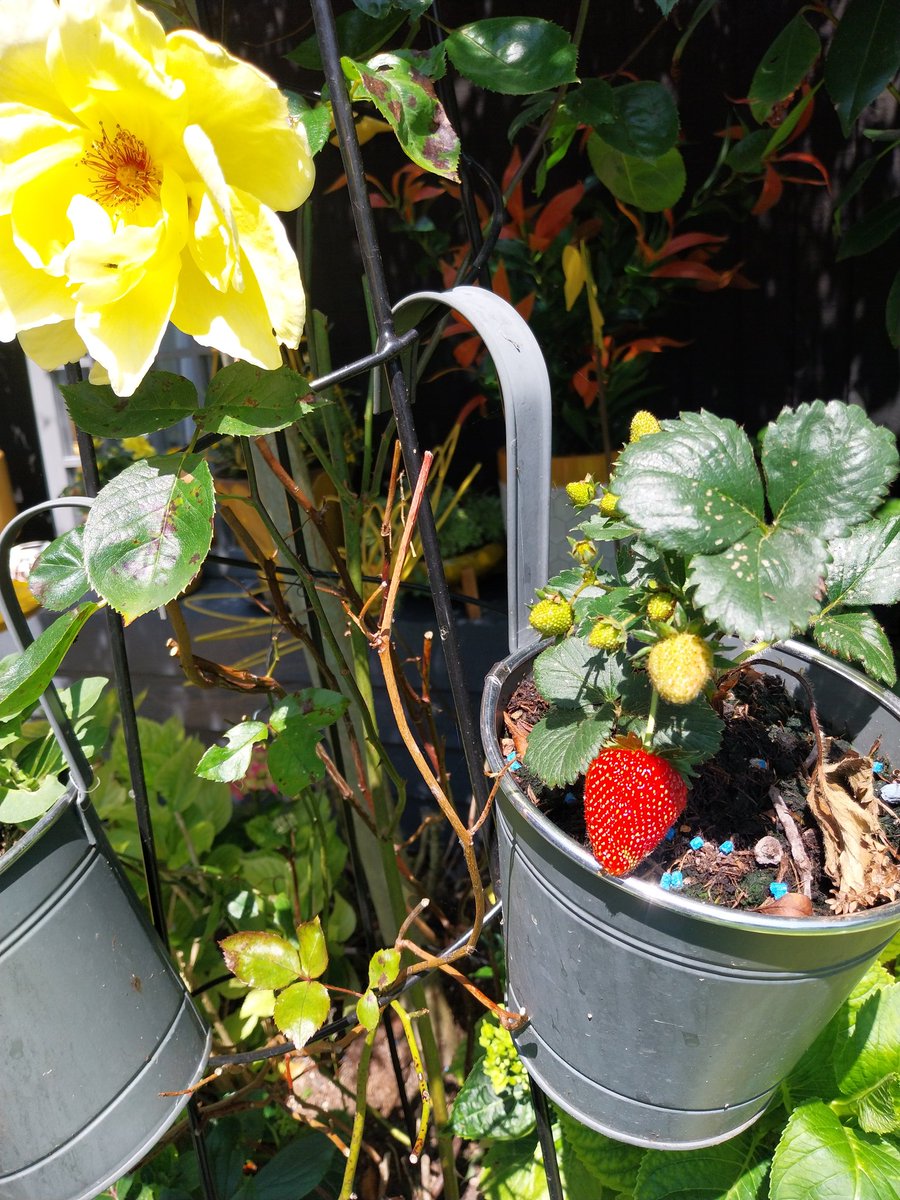 HelenPayne3's tweet photo. Is summer finally here? #raiaraingoaway https://t.co/Ka4eiPwWAf