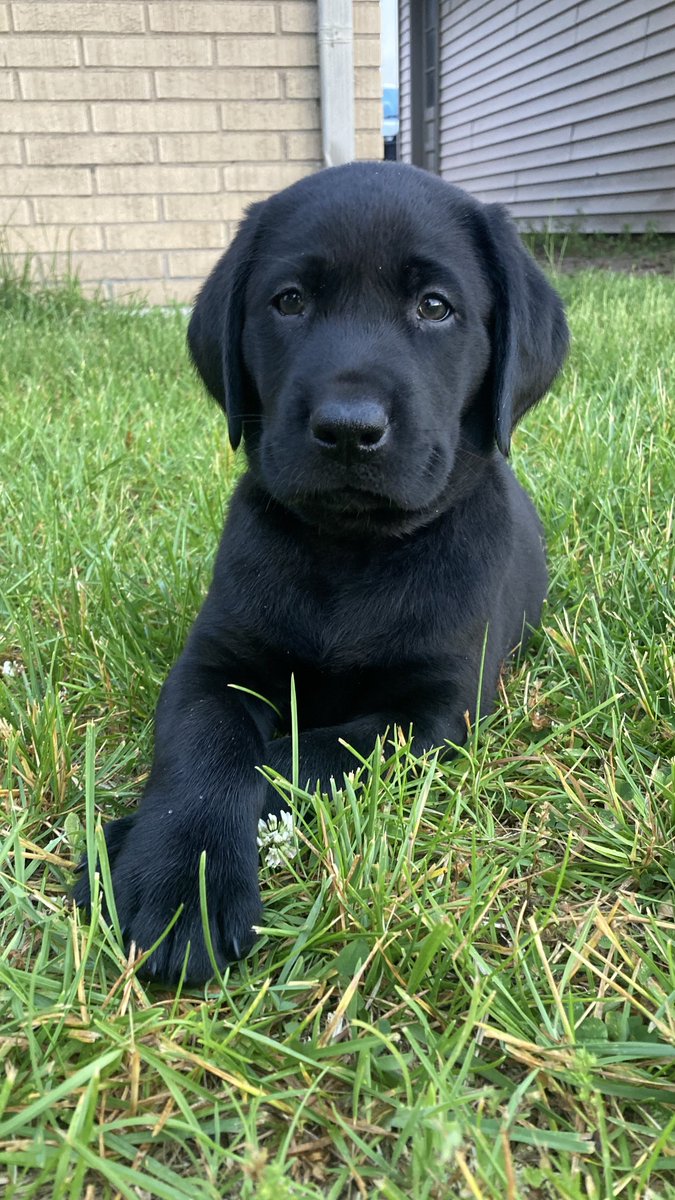 Caleb Krueger tweet media