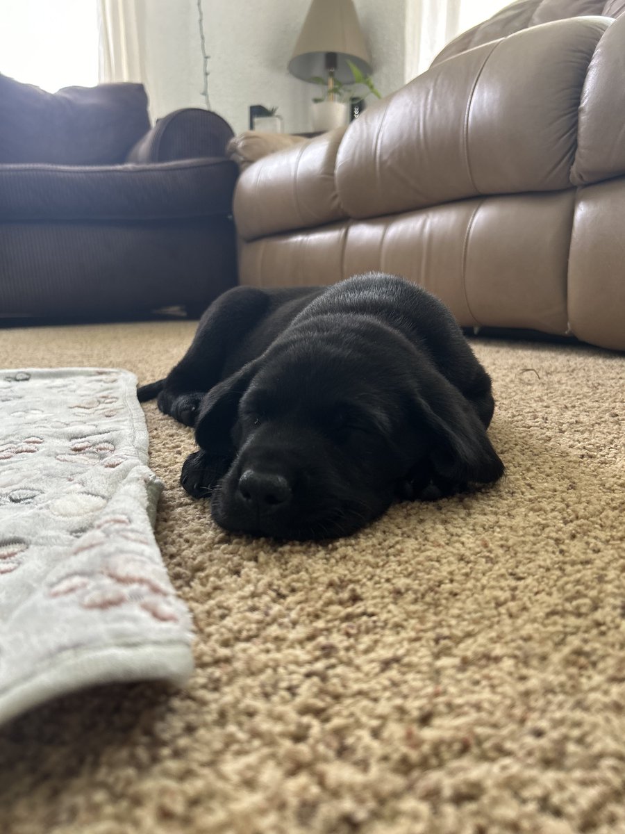 Caleb Krueger tweet media