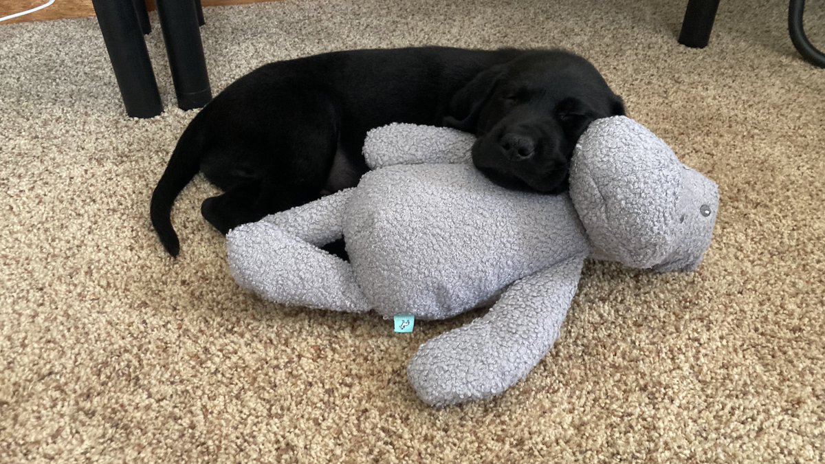 Caleb Krueger tweet media