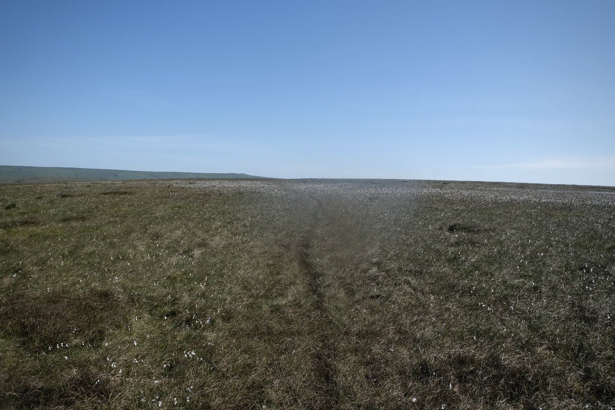 AxelbyRichard's tweet photo. Following thin paths from Birchin Clough to Over Wood Moss. Felt like I could walk all day and not see another soul… https://t.co/eSDVLrAbIH