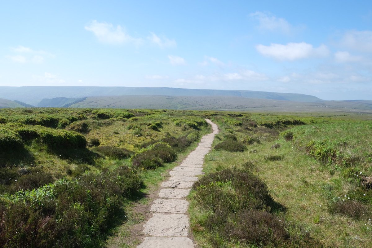AxelbyRichard's tweet photo. …then over to Devils Dike and Doctor’s Gate which, given the weather, were unsurprisingly busy with walkers and runners. https://t.co/DKki0ACddV