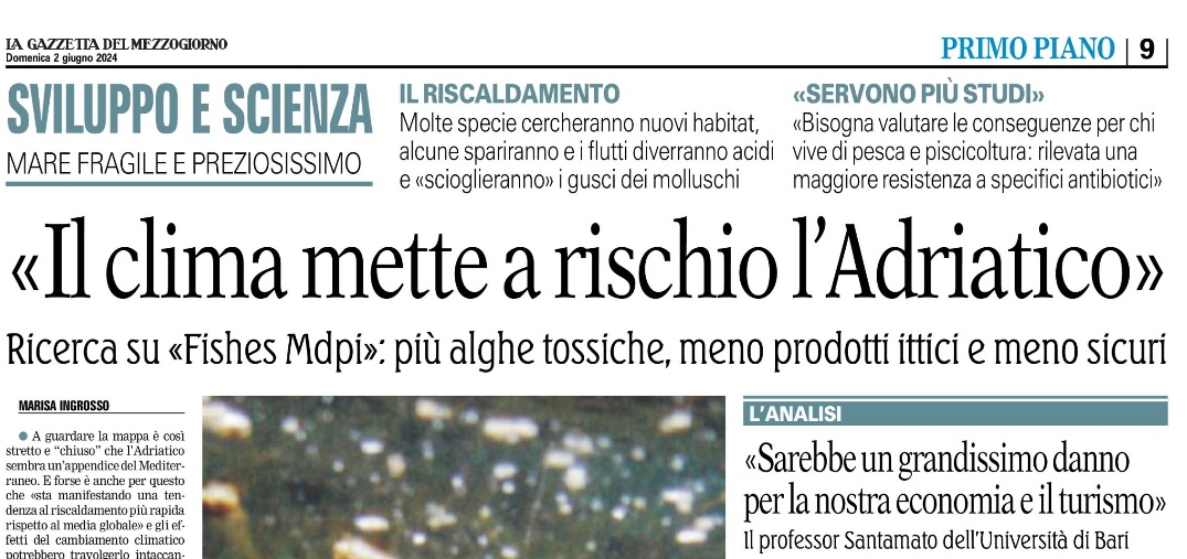 MrsIngr's tweet image. &quot;Climate change, Adriatic Sea at risk&quot;
#FishesMdpi: more toxic algae, viruses and mercury absorbed by fish; acidic waters will dissolve the mussels; expected effects on fishing, aquaculture, tourism and the economy