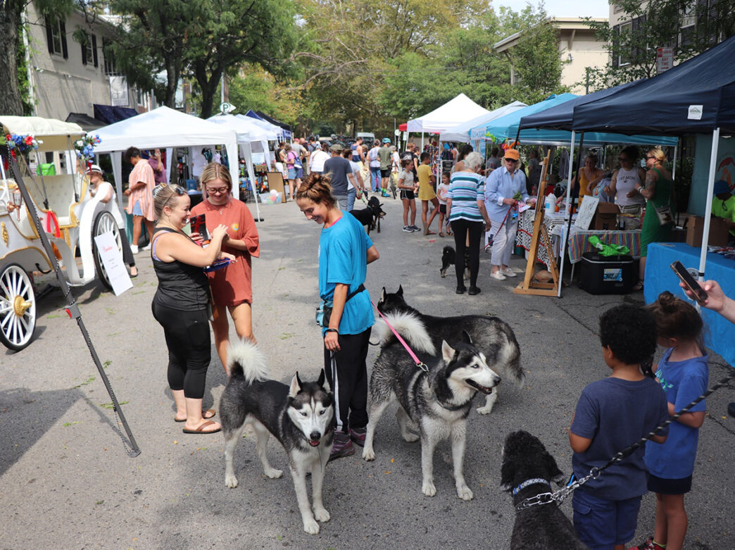 visitphilly's tweet photo. It's Petapalooza 2024! A day of pampering and training for your furry friends including pet services, doggie pools, training exhibitions,“yappy hour” deals and more. Today, 11:00am-2:00pm. #visitphilly #thingstodoinphilly #dogsofphilly 

⬇️
https://t.co/W5Irfc0cOG https://t.co/rbyiJPDuUu