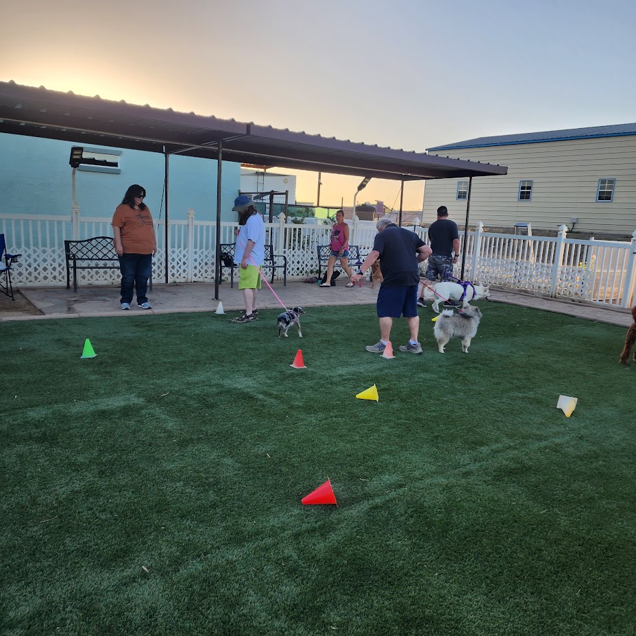 LegendAcres's tweet photo. Sharing pictures from a class in Surprise at Golden Puppies!
If you live in Wittman or even Wickenburg, this location would be perfect for you!
We love to watch all of the dogs who come to our classes grow and develop.
#LegendAcres #DogSuccess #DogTraining #DogLife https://t.co/wfQPykdBxm