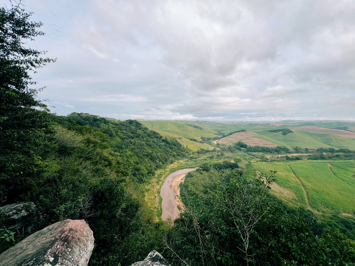 MezLikesToRun's tweet photo. Solo 20K this morning! πππ»ββοΈβ°οΈπ³πΏπ¦π―
#run #running #runner #trailrunning #trailrunner #weekendlongruns #ultrarunning #trails #runningmotivation #runninginspiration #runningcontent #longruns #runnersofinstagram #instarunners #gilnokiesocks #GoPro #GoProSouthAfrica #strava https://t.co/8rWwi2MiTy