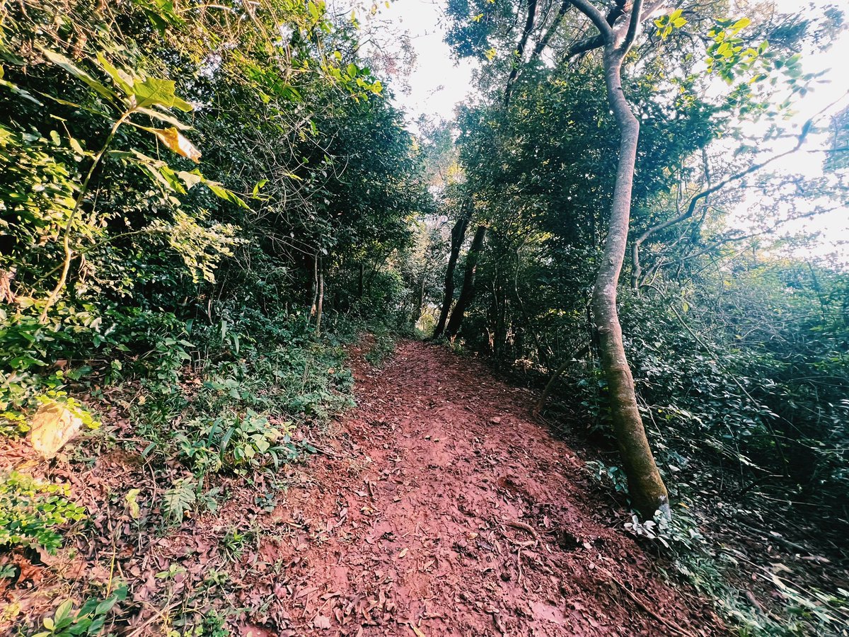 MezLikesToRun's tweet photo. Solo 20K this morning! πππ»ββοΈβ°οΈπ³πΏπ¦π―
#run #running #runner #trailrunning #trailrunner #weekendlongruns #ultrarunning #trails #runningmotivation #runninginspiration #runningcontent #longruns #runnersofinstagram #instarunners #gilnokiesocks #GoPro #GoProSouthAfrica #strava https://t.co/8rWwi2MiTy