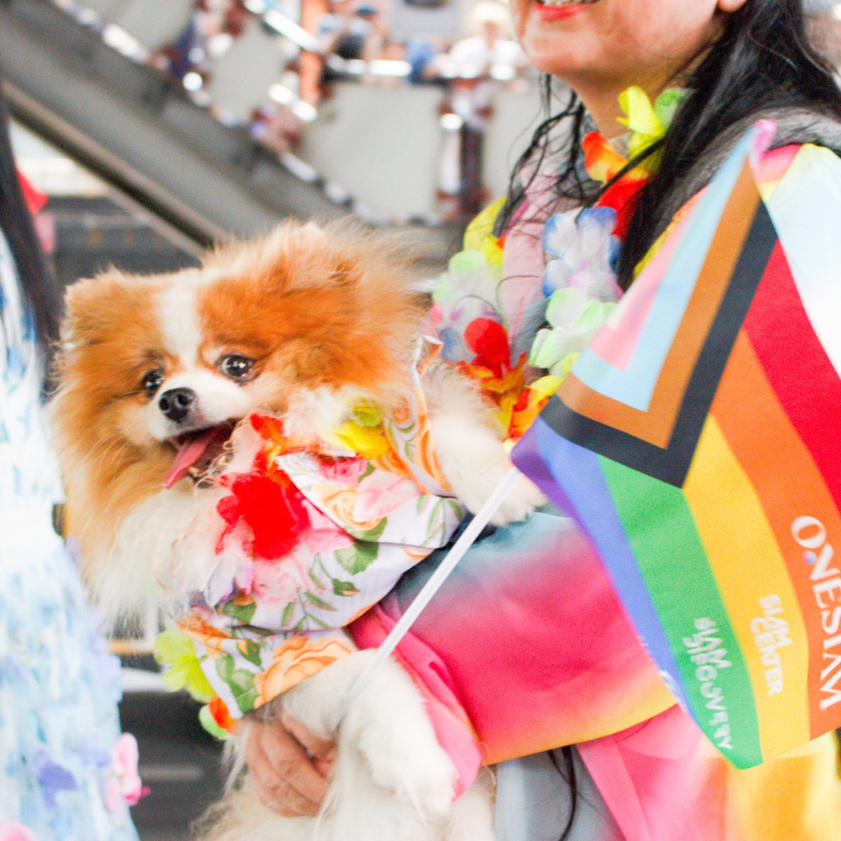 souri_bkk's tweet photo. Let's make the world a more colorful place 🏳️‍🌈 https://t.co/OfskELx7ow