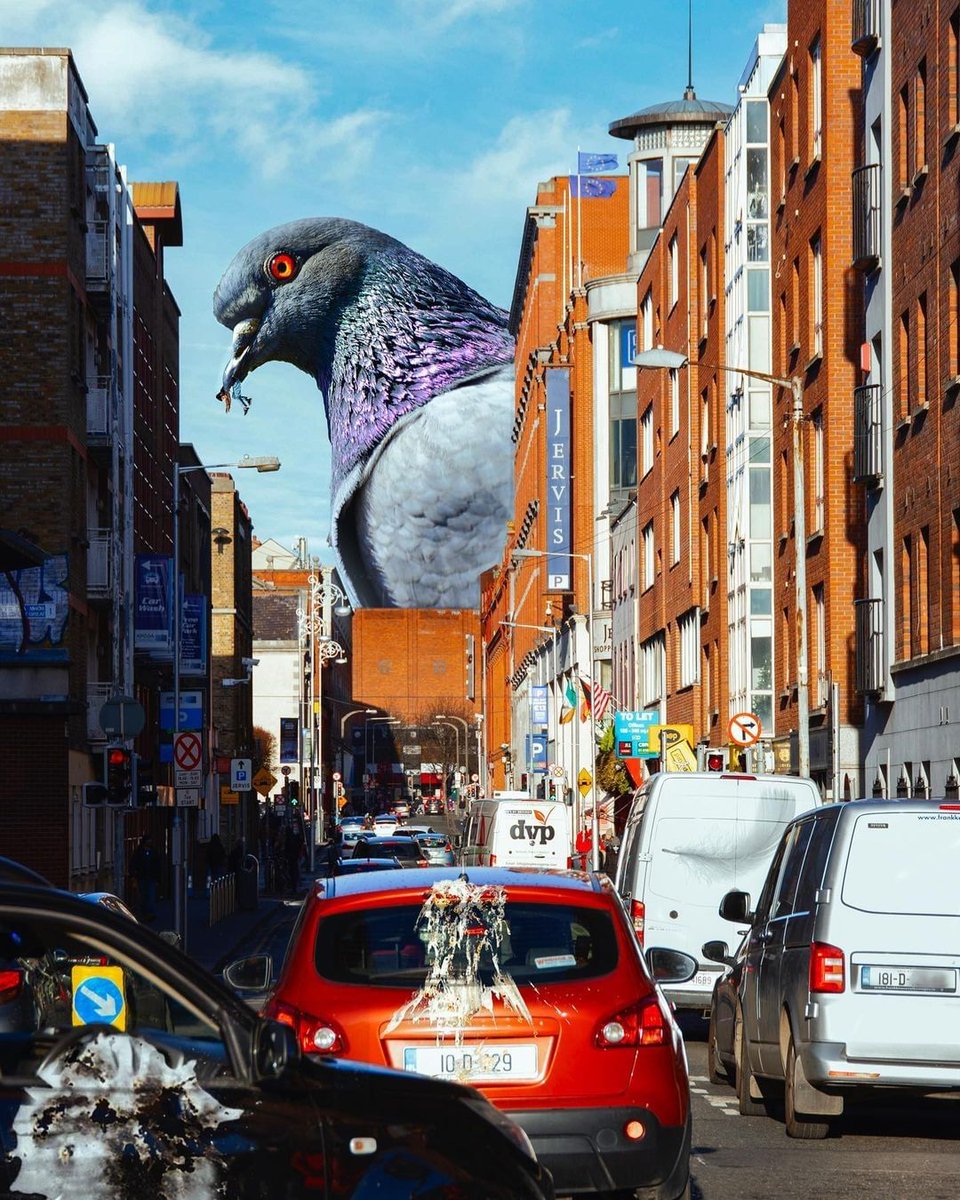 Pigeonzilla 🐦 Props to @brian_zang for this reimagining of Dublin being taken over by a gigantic pigeon