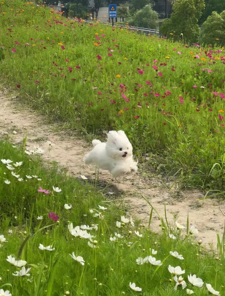 힐링짤모으는곳 tweet media