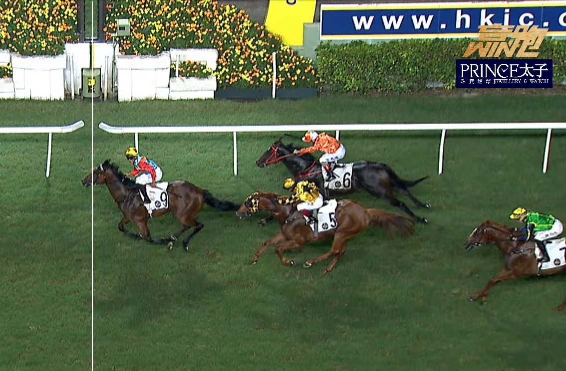 Mizinko_J062's tweet image. 9 カインライジング
5 フライングエース
6 ハウディープイズユアラブ

カインライジング勝ちました😭😭😭
ありがとう！ありがとう！
追いかけてた子が破竹の勢いで重賞初制覇

来シーズンはクラシック戦線に行こうよ！

#シャティンヴァーズ
#HKJC
#HongkongRacing 
#香港競馬