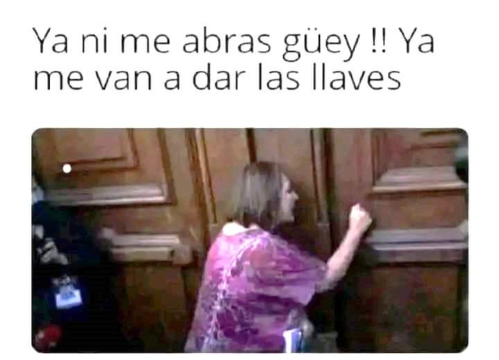 El Bot que opina tweet media
