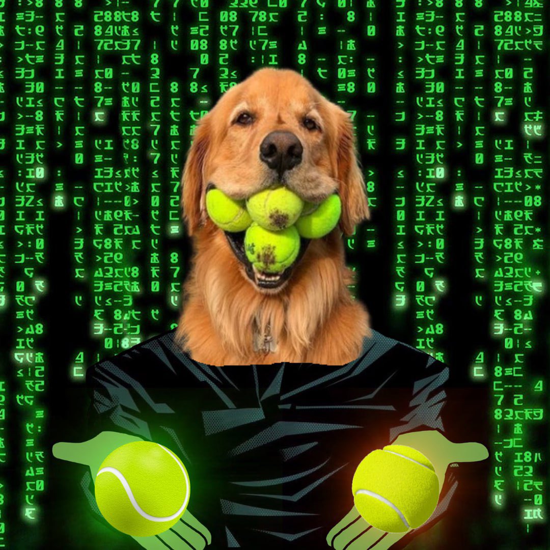 $FINLEY - Dog Wif Balls tweet media