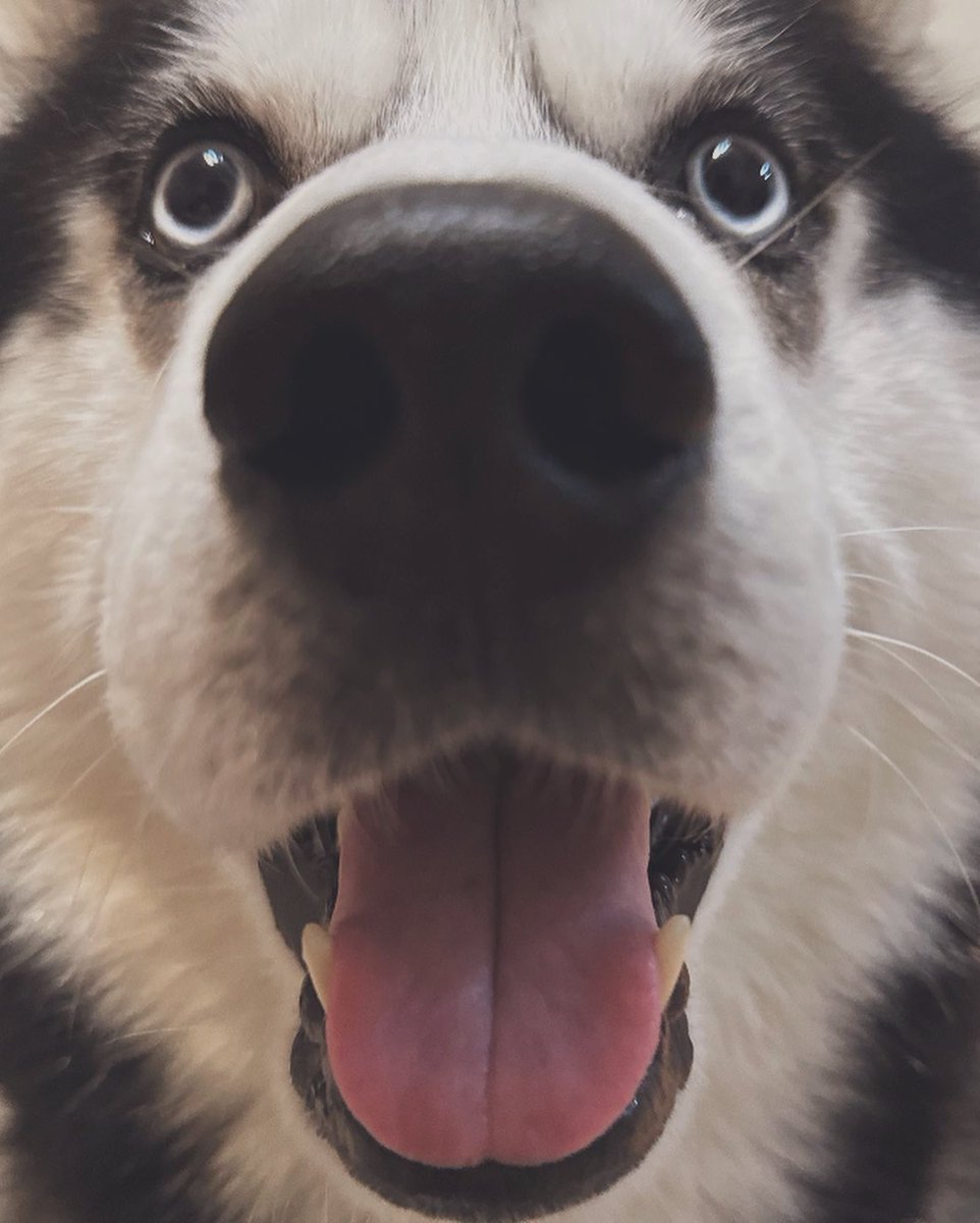 5月30日で5歳になりました‼️
健康です‼️