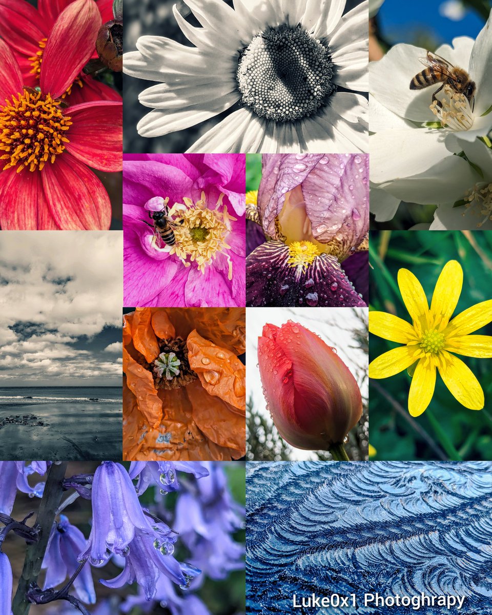 📷 My photography collection
🪙 1 $XTZ primary 1/1 floor
🔥 Secondary listings

🌱 250+ pieces and growing
👩‍🎤 58 owners
📈 125 $XTZ vol primary

🖤 0.01 $XTZ 100ed special heart
🐝 Donations to a bee charity
🔗 Link in reply
Odd coin tags 🤷‍♂️
$TRIP $BUBBLE $SOMO $BUBBLE $BEYOND